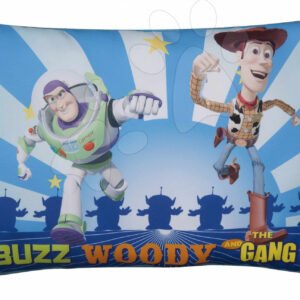 Ilanit polštářek WD Toy Story 3 14125 modrý