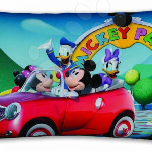 Ilanit dětský polštář WD Mickey Mouse s mikrokuličkami 12815 barevný
