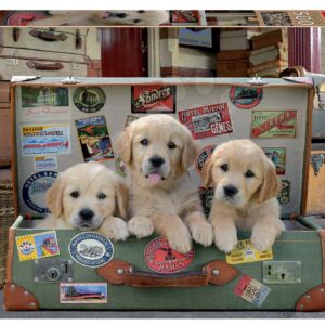 Educa puzzle Pupies in the Luggage 500 dílků a fix lepidlo 17645