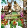 Puzzle Donkeys Educa 500 dílků a Fix lepidlo - Image 2