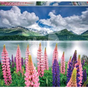 Puzzle Lupins On The Shores of Lake Sils Switzerland Educa 1500 dílků a Fix lepidlo