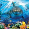 Puzzle Great White Shark Educa 500 dílků a Fix lepidlo od 11 let - Image 2