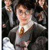 Puzzle Miniature series Harry Potter 1 Educa 1000 dílků a Fix lepidlo - Image 2
