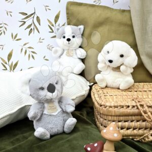 Plyšový pejsek Husky The Little Companions Histoire d’ Ours bílý 20 cm od 0 měsíců