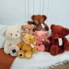 Plyšový medvídek Capuccino Le Nounours Histoire d’Ours hnědý 28 cm od 0 měsíců - Image 3