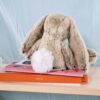 Plyšový zajíček Beige Bunny Copain Calin Histoire d’Ours béžový 25 cm v dárkovém balení od 0 měsíců - Image 3