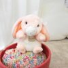 Plyšový zajíček The Little Companions Histoire d’ Ours růžový 20 cm od 0 měsíců - Image 2