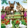 Puzzle Donkeys Educa 500 dílků a Fix lepidlo - Image 3