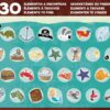 Puzzle pirátská loď Detectives Pirates Boat Educa hledej 30 předmětů 50dílné od 4 let - Image 3