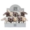 Plyšový zajíček Bunny Histoire d’ Ours různé barvy 17 cm od 0 měsíců - Image 3