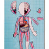 Janod magnetická anatomie pro děti Bodymagnet 05491 - Image 3