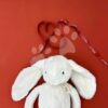Plyšový zajíček The Bunny White Histoire d'Ours bílý 32 cm od 0 měsíců - Image 3