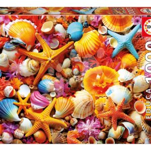 Puzzle Collage of Shells Educa 1000 dílků a Fix lepidlo
