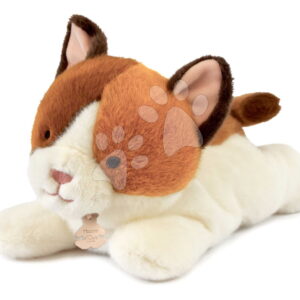 Plyšová kočička s těžkým bříškem P'tit Relax Cat Histoire d’ Ours bílo-hnědá 30 cm od 0 měsíců