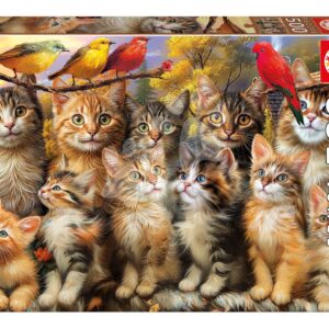 Puzzle Kittens and Birds Educa 500 dílků a Fix lepidlo
